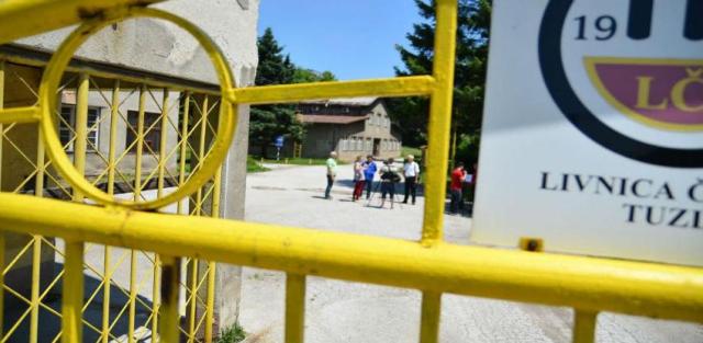 livnica celika