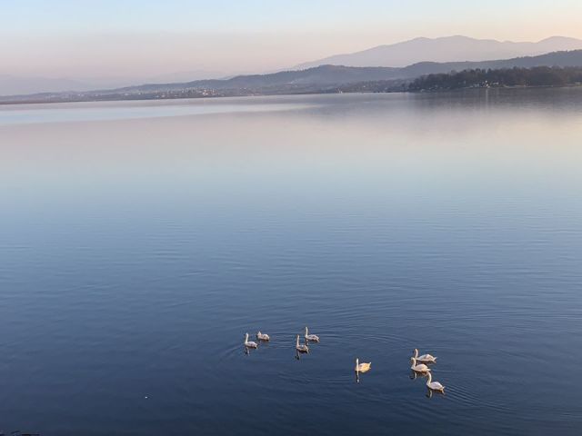 jezero modrac